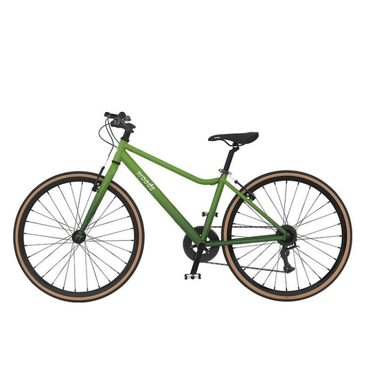 Vélo Woods – Élégance, légèreté et performance